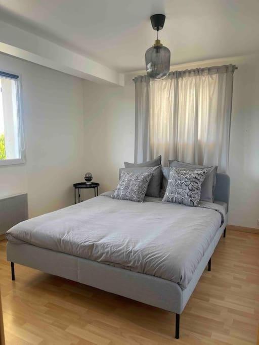 Apartment Le Priest - Calme, Hopital Nord, Fac De Medecine *